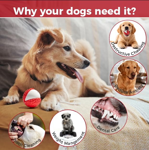 Pelota Mordible Sónica para Perro MewaJump miniatura 3