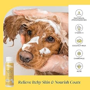 Heavenly Dog Shampoo  Body Wash  Antiitch  Dog Shampoos  Ph Balanced Conditioning Dog Bath Blend with Collagen Aloe Coconut Milk Vitamin E  Soothe Itchy Skin  Coat  135oz  Cucciolini Doodles Heavenly dog shampoo  body wash  anti itch  dog shampoos  ph balanced conditioning dog bath blend with collagen aloe coconut milk vitamin e  soothe itchy skin  coat  13 5oz   cucciolini doodles