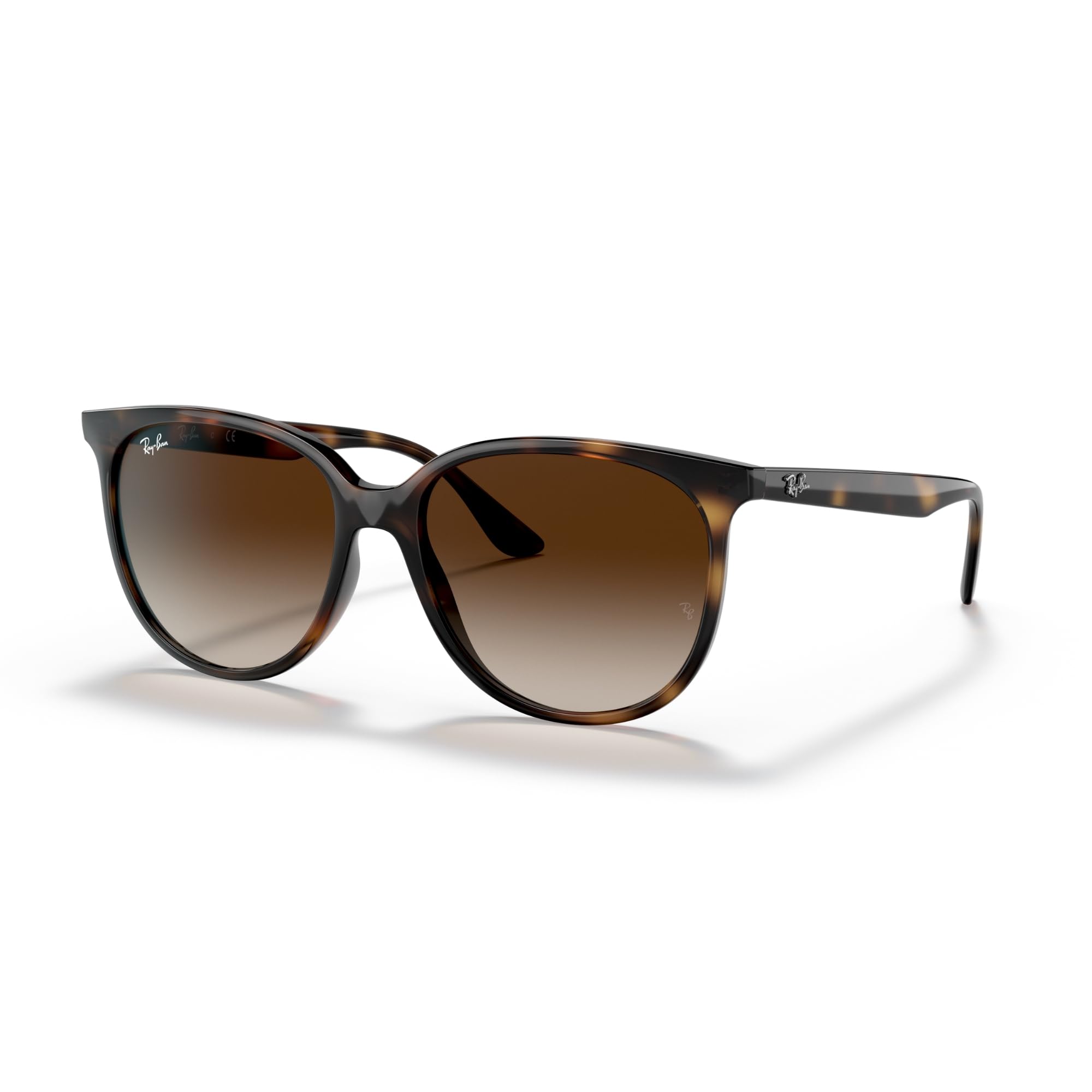 Ray-Ban RB4378F Square Sunglasses
