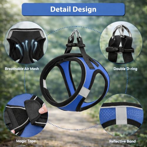 Image of Berlin's Cat Harness with Leash for Outdoor, Walking, Escape Proof, Air Mesh Fabric, Easy Control, Adjustable & Durable Cat Leash with Harness for Cats (Black-Blue, Small)