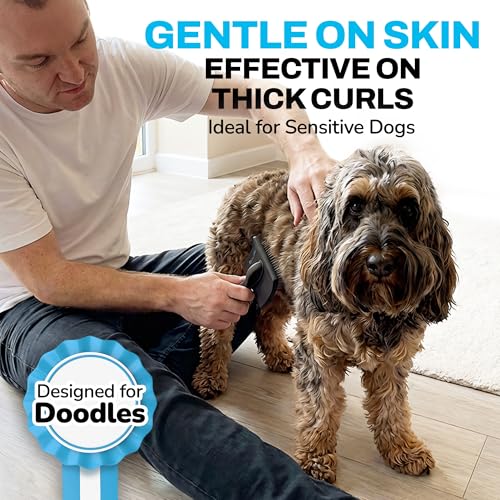 The Doodle Brush Zupfbürste für Langhaarige Hunde mit Extra Langen Pins