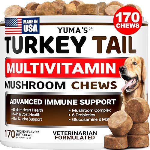 Turkey Tail Mushroom for Dogs - 170 Count - Mushroom Chews for Dogs Lipoma Lumps and Bumps - Immune Health, Digestive, Skin, Energy, Joint Vitamin Support Guard Buddy - Multivitamin Supplement