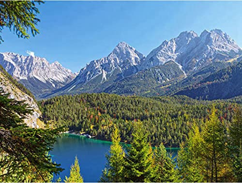 Peinture au diamant 5D contre le stress, kit mosaïque point de croix forêt de montagne
