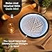 Grounded Labs Oasis Mini Sand Art, Real Bamboo, Zen Stress Relief, iOS and Android Compatible, with Smart LED Lighting