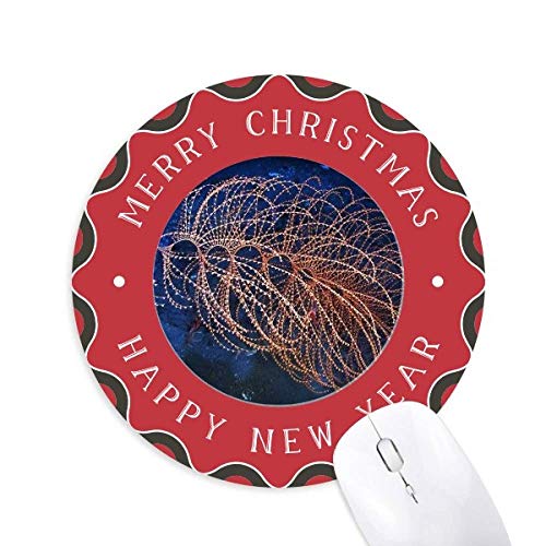 I[VyȊw͎R̎ʐ^ ~`S̃NX}X}EXpbh