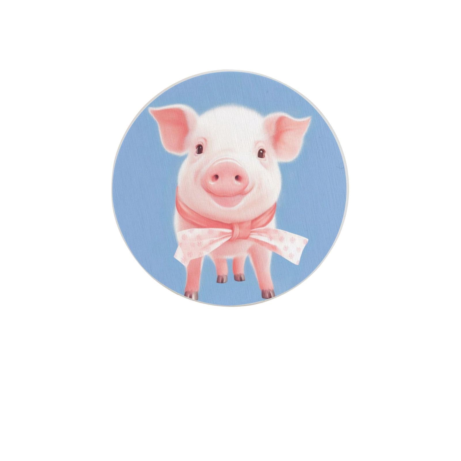 Pig Absorbent Drink Coasters Diatomaceous Round Coaster 4 Inch Reusable Cup Coasters Set 4pc
