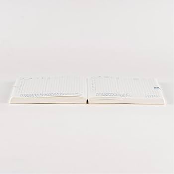 niboshi☺︎journal 0709 Hobonichi Techo Original Book