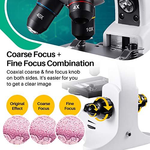 BEBANG 200X-2000X Microscope, All-Metal Optical Glass Lenses, Coarse and Fine Focusing, 25X Widefield Eyepiece and Complete Accessories Kit - Thumbnail 2