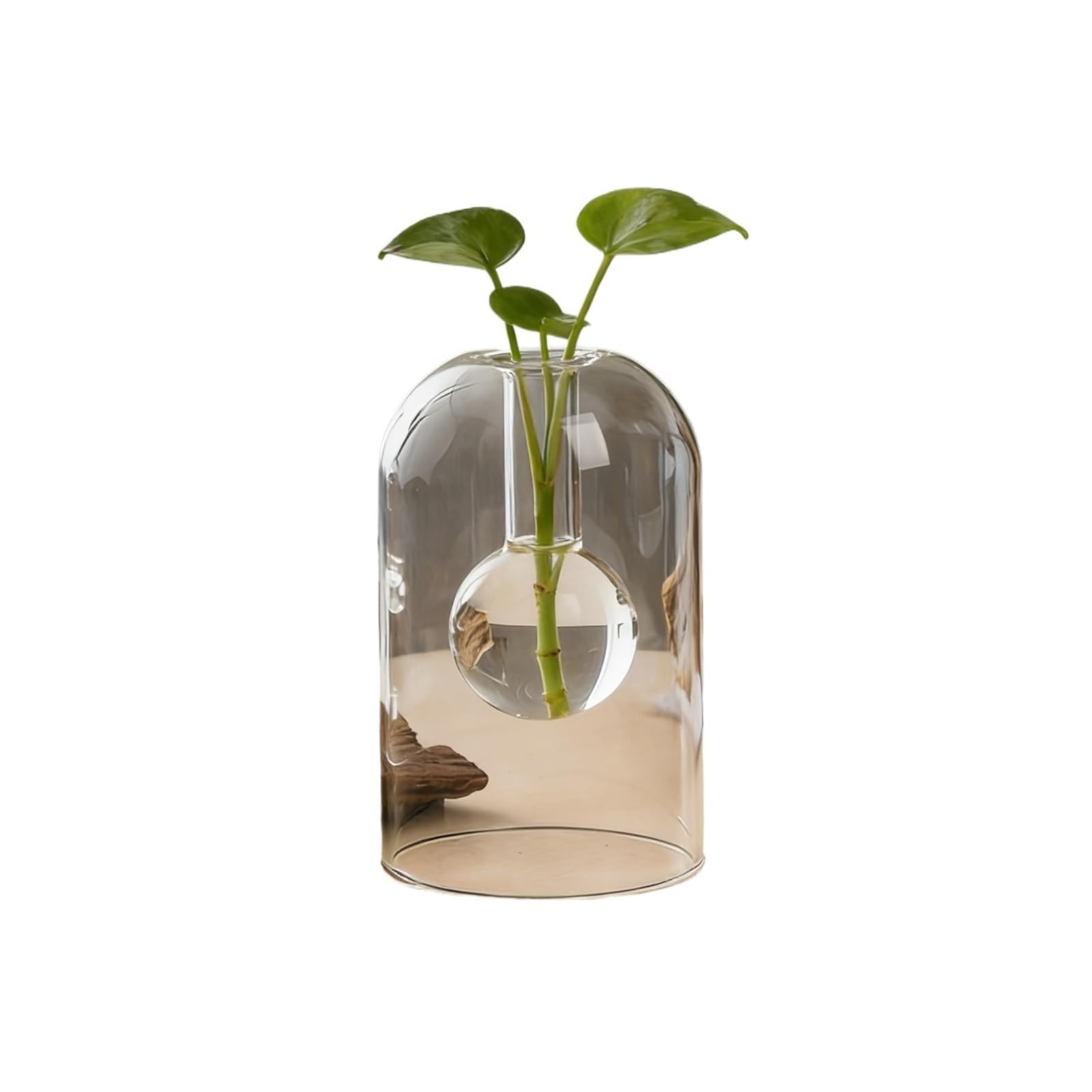 QuxetlRyz Glass Hydroponic Vase Double Layer Glass Planter, Hydroponic Vase. Minimalist desktop decor for home & office, for pothos, ivy & small indoor plants(Circle)