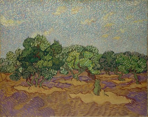 Oliviers de Van Gogh poster sur toile pour l'ambiance apaisante d'une chambre