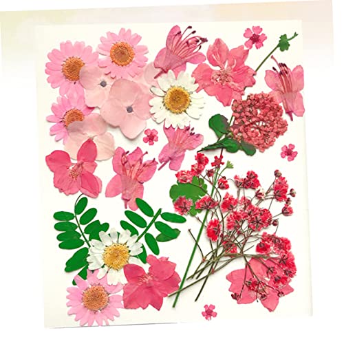 Kit artesanal 30 piezas flores secas prensadas miniatura 3
