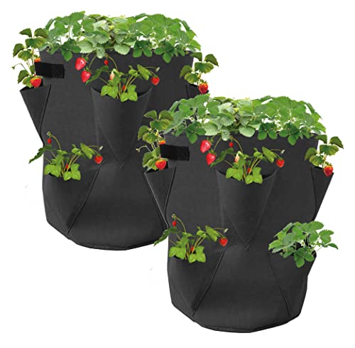 Spetebo Lot de 2 Sacs de Plantation de Fraises en Feutre - 45 x 35 cm - Sac de Plantation pour Fraises et Petits légumes - Sac pour Jardins, balcons, Plantes, Sacs...