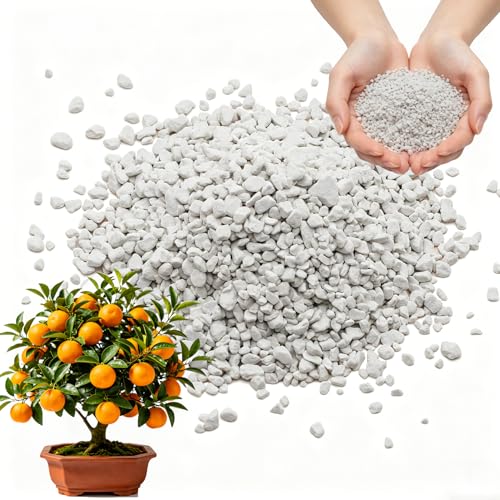 Potassium Sulfate Sulfate of Potash 0-0-50 Fertilizer for Vegetable Gardens Ideal for Soil Enrichment Plant Growth & Maximum Crop Yield (1 LB)