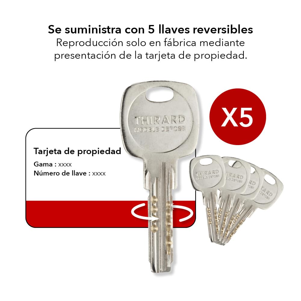 THIRARD - Cilindro Trafic 12 Alta Seguridad - Pack de 2 - Níquel - Ø 30 x 30 mm - 8 Pasadores - Antiarranque, Antiperforación, Antiganzúa - 10 Llaves Planas Reversibles - Gris