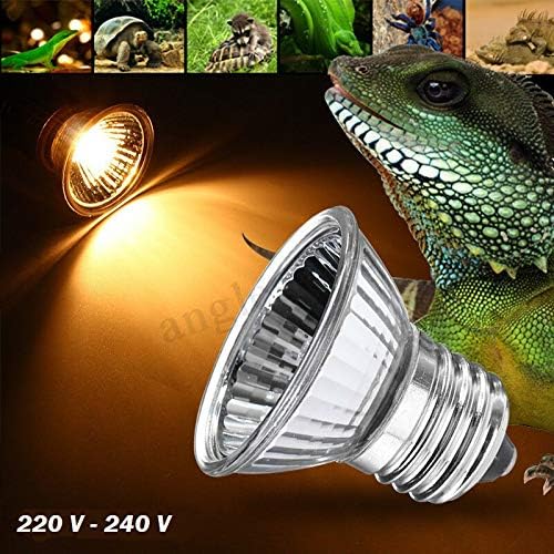 best basking bulb for turtles