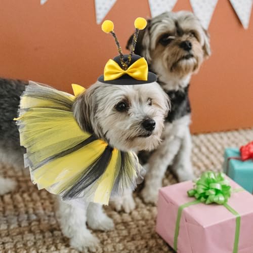 Disfraz Abeja para Perros Pequeños Multi Tamaño miniatura 3