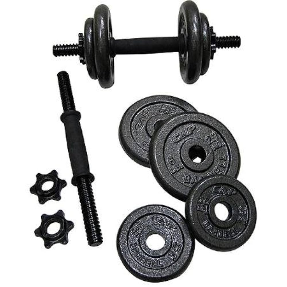 GOLD'S GYM ダンベルプレート 10kg 2枚セット GOLD'S GYM ダンベルプレート 10kg 2枚セット GOLD'S GYM