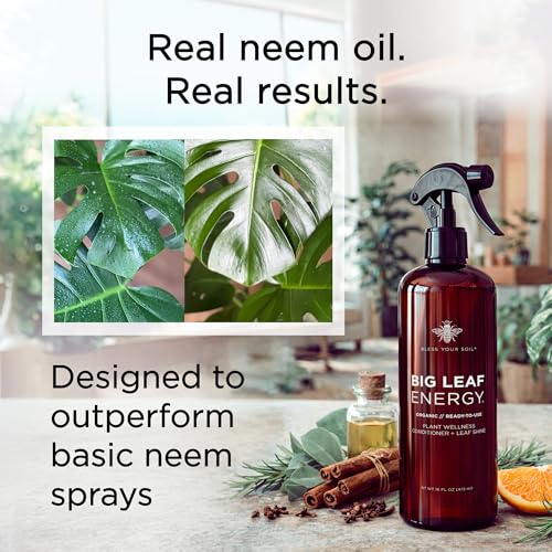 Big Leaf Energy (16 FL OZ) Organic Neem Oil Spray for Plants + Essential Oils : Ready to Use Plant Wash for Indoor Houseplants & Outdoor Gardens, Natural Leaf Shine