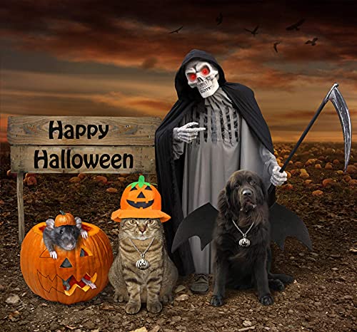 Rypet Dog Bat Costume - Halloween Pet Costume Bat Wings Cosplay Dog Costume Pet Costume For Party M #TOP6