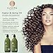 Luseta Castor & Hemp Oil Shampoo for Hair Growth, Hair Loss/Repair, Thickens & Enriches Thinning 16.9oz