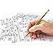 STAEDTLER 122-2BK10D Noris HB Eraser-Tip Pencil (Blister of 10)