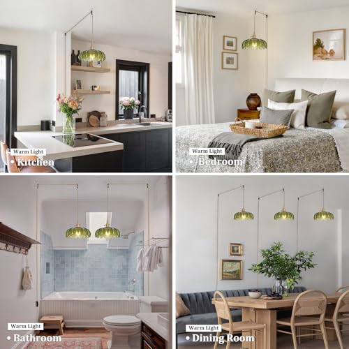 Image of Shenmoyl Plug in Pendant Light Hanging Light Fixtures with Plugin Cord On /Off Switch,Green Scindapsus Glass Lampshade Brass Pendant Light