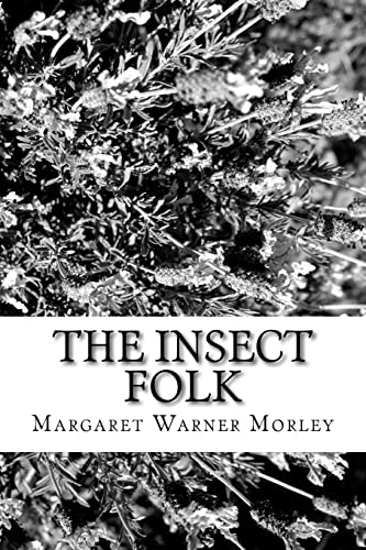The Insect Folk
