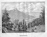  Schloss Greifenstein Fränkische Schweiz Heiligenstadt Lithographie Dilger