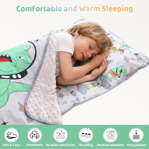 Image of Viviland Toddler Kid Nap Mat for Preschool, Grey Dinosaur Slumber Bag, Daycare Bag with Pillow and Blanket, Kindergarten Mat