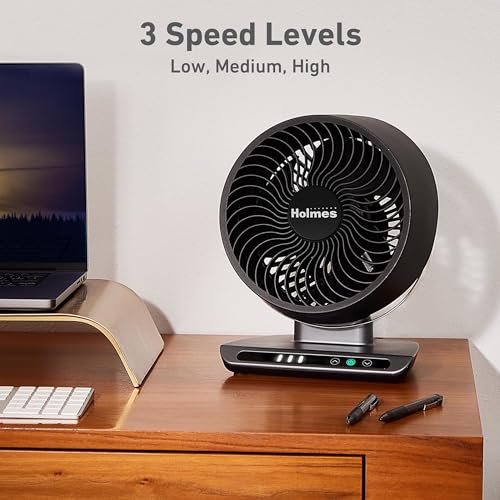 image for HOLMES Blizzard 8