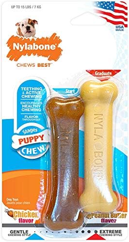 Amazon Com Nylabone Classic Puppy Chew Flavored Durable Dog Chew Toy Bones Peanut Butter Chicken X Small Petite 2 Count Pet Supplies