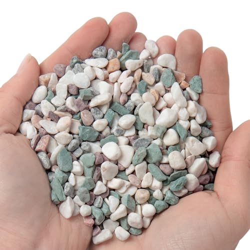 TINYUNICORN 5lb Succulent and Cactus Gravel Pebbles 1/5-3/8