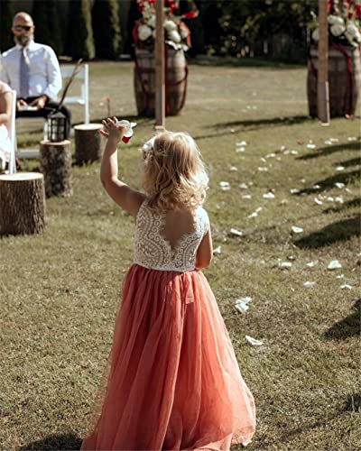 image for 2Bunnies Girl Peony Lace Back A-Line Straight Tutu Tulle Party Flower 