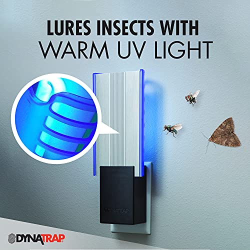 Dynatrap Dt3009-1003P Flylight Indoor Plug-In Fly Trap For Flies, Fruit Flies, Moths, Gnats, & Other Flying Insects – Protects Up To 600 Sq Ft #TOP1