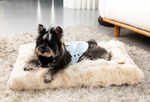 BingoPaw pxbh ^ 􂦂 ~  v x[W ybgxbh NbV łjȂ h ʔN Q }bg L_ɂxbh ӂӂ g