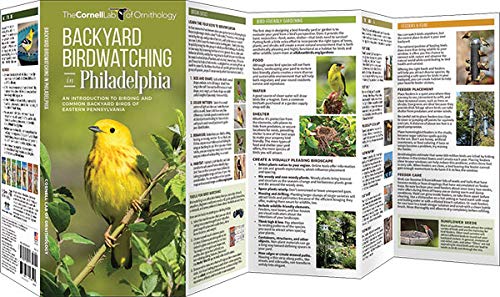 Backyard Birdwatching In Philadelphia: An Introduction To Birding And Common Backyard Birds Of Eastern Pennsylvania (Wildlife And Nature Identification) #TOP1