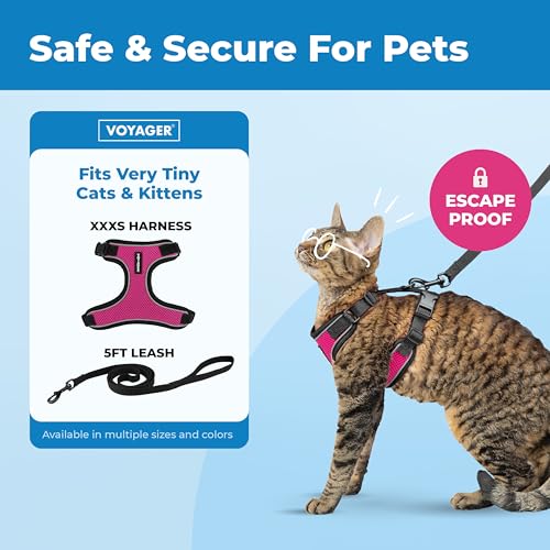 Image of Voyager Escape-Proof Step-in Lock Cat Harness & 5ft Neoprene-Handle Leash Set All-Weather Mesh with Reflective Stitching for Small to Large Cats by Best Pet Supplies, Black Trim-Fuchsia (327), XXXS