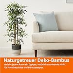 Amazon Basics künstliche Bambus pflanze mit Kunststoff-Blumentopf, 100 cm, Grün – Bild 5