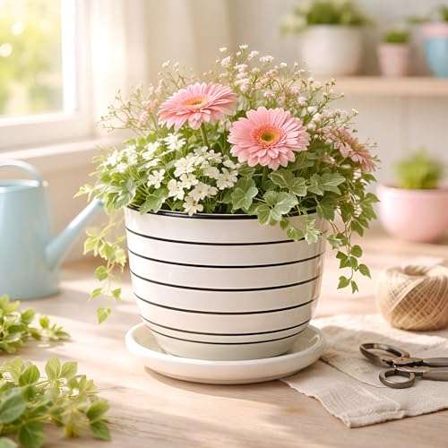 Image of Xtore Ceramic Striped Planter with Tray Figurine | Gloss Finish | for Home, Window & Office Decor - (Pack of 1, Planter ONLY)