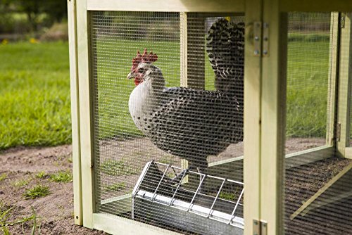 Fallen Fruits Chicken House – Bild 3