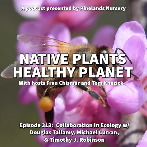 Collaboration in Ecology with Douglas Tallamy, Michael Curran, and Timothy Robinson