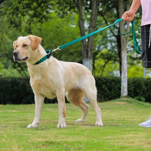 Image of Waterproof Dog Collar, Easy to Clean Rubber Dog Collars with Quick Release Buckle Fits Small Medium or Large Dogs (Emerald Green, M < 11.8-18.5 inch)