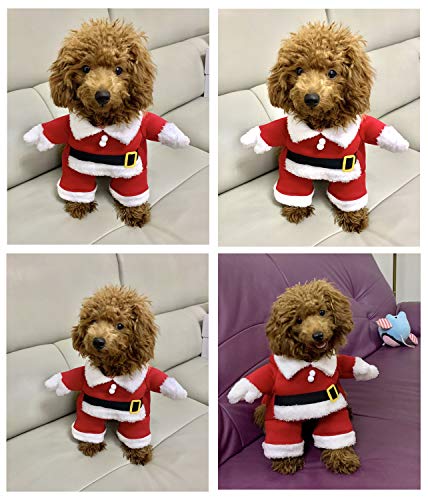 Disfraz Navidad para Perro y Gato Santa L miniatura 5