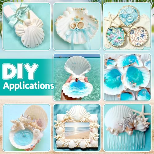 Image of QICQDRAM 30PCS Seashells for Crafts 3''-4'' Scallop Shells for Painting