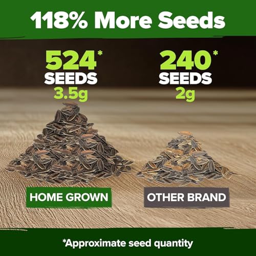 HOME GROWN Zinnia Dahlia Seeds Pack for 2026 Non GMO 524 Flower Seeds | Vibrant Zinnia Elegans for Pollinator Gardens, Borders & Containers | Easy-to-Grow Outdoor Blooms