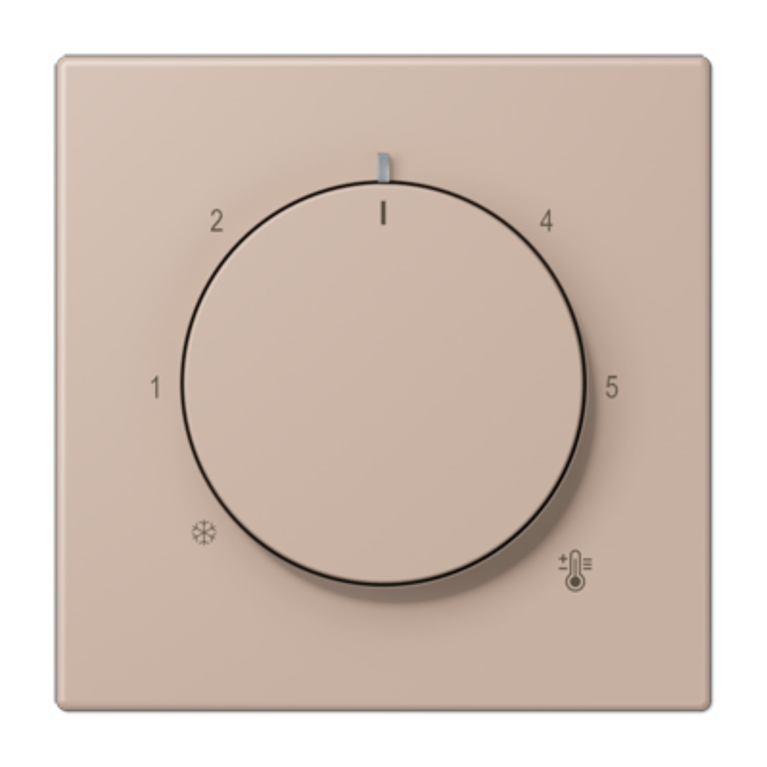 Plaque Thermostat LC32131 contrôle de température JUNG