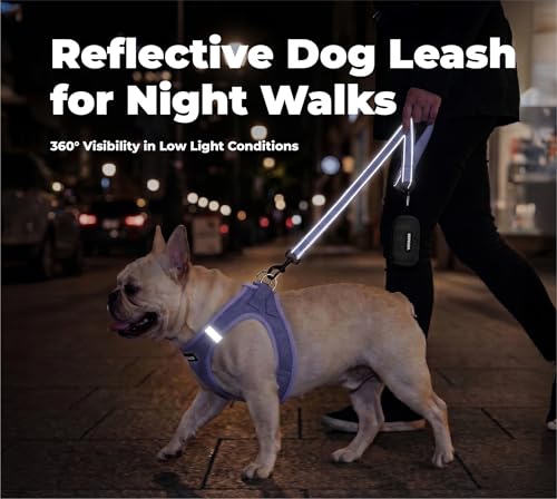Image of Best Pet Supplies Voyager Reflective Dog Leash or Collar with Neoprene Handle, for Small, Medium, and Large Breed Puppies, Cute and Heavy Duty for Walking, Running and Training - Lavender (Leash), M