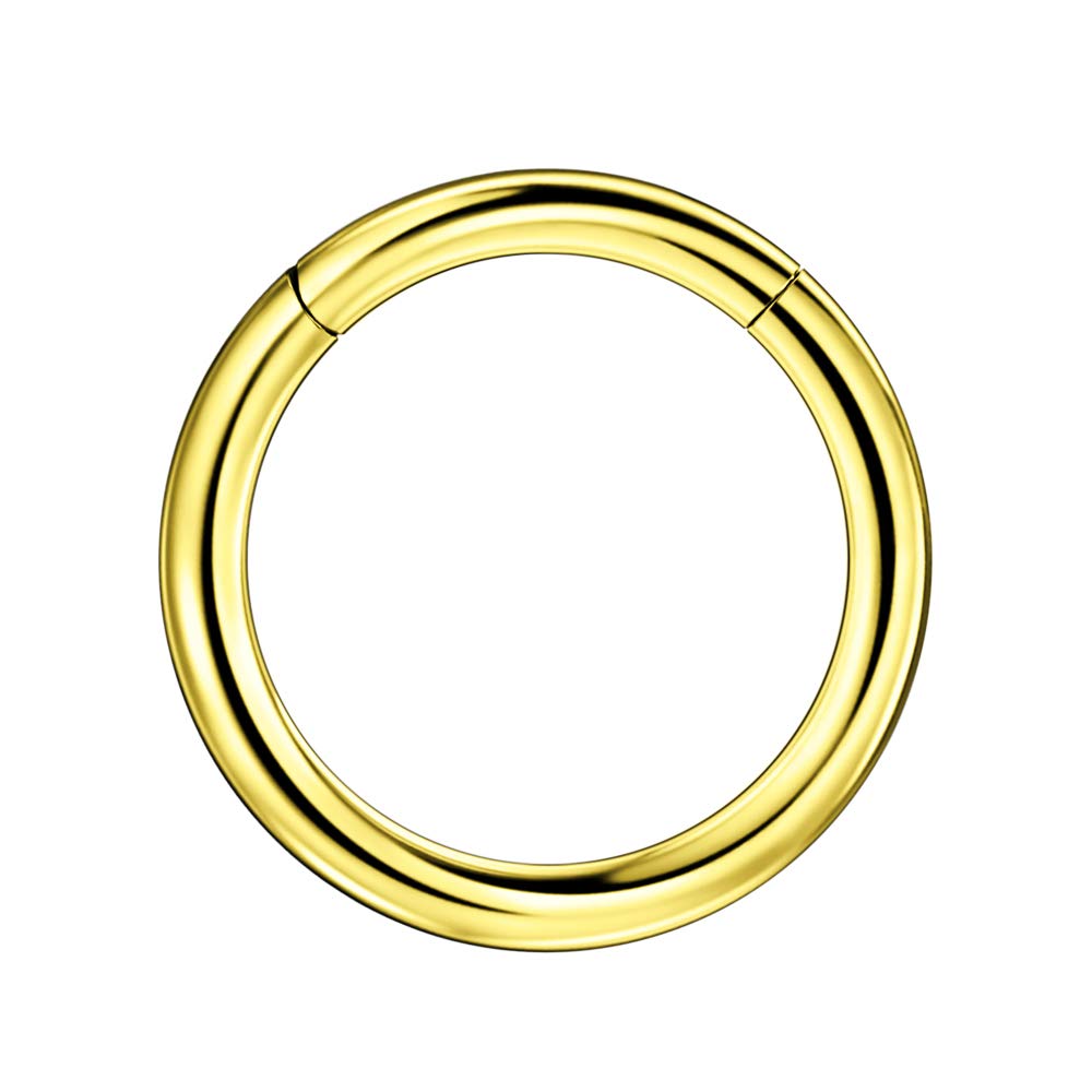 316L Surgical Steel Hypoallergenic Hinged Nose Ring Hoop for Women &amp; Men