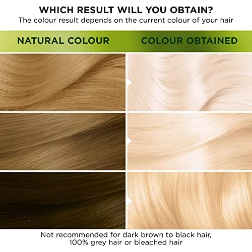 'Garnier Nutrisse Ultra Color D4+ Bleach Intense Platinum Permanent