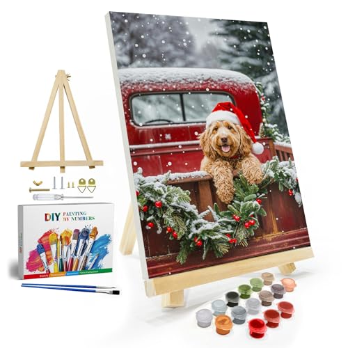 JOOZ Christmas Paint by